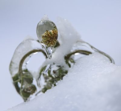 冰雪奇趣