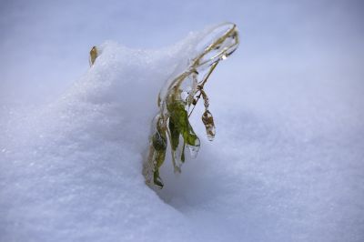 冰雪奇趣