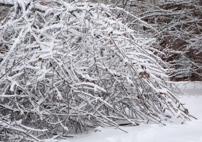 冰雪奇趣