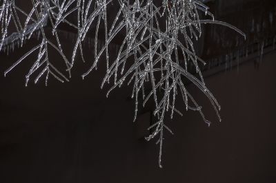 冰雪奇趣