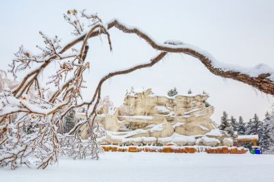 下雪的太阳岛2