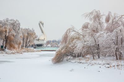 下雪的太阳岛2