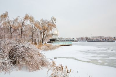 下雪的太阳岛2