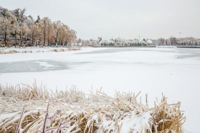下雪的太阳岛2