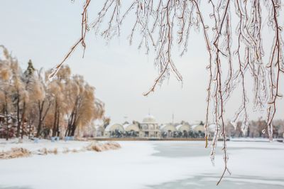 下雪的太阳岛2