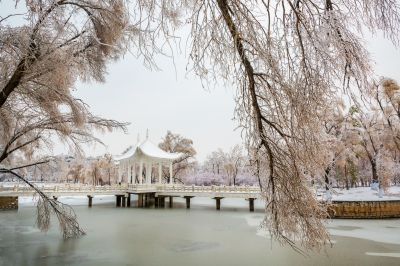 下雪的太阳岛2