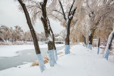 下雪的太阳岛2