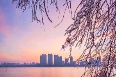 太阳岛江畔的雪后朝霞