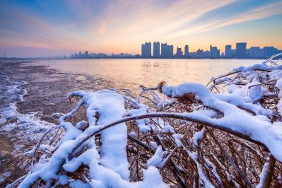 太阳岛江畔的雪后朝霞
