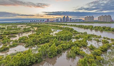 阳明滩湿地（二）