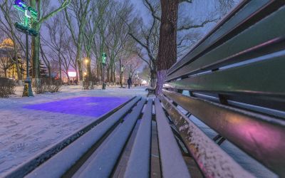 斯大林公园雪夜