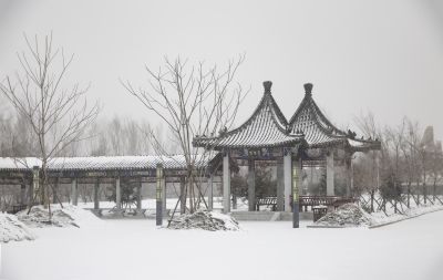 雪中亭园1