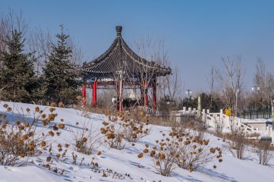 冬季中国亭园