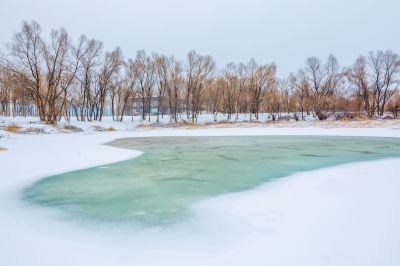 雪润冰城美景如画1