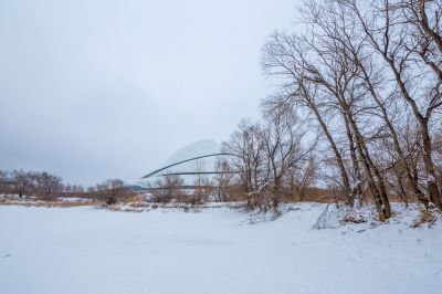 雪润冰城美景如画1