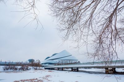 雪润冰城美景如画2