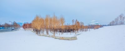 雪润冰城美景如画2