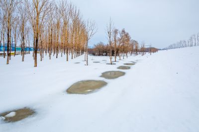 雪润冰城美景如画2