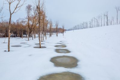 雪润冰城美景如画2