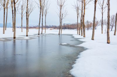 雪润冰城美景如画2