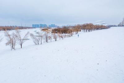 雪润冰城美景如画2