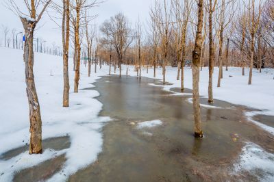 雪润冰城美景如画2