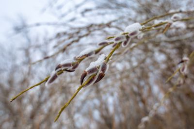 雪润冰城美景如画2