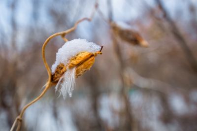雪润冰城美景如画2