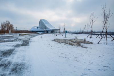 雪润冰城美景如画2