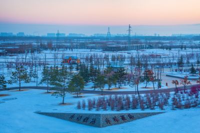 群力外滩湿地春雪1