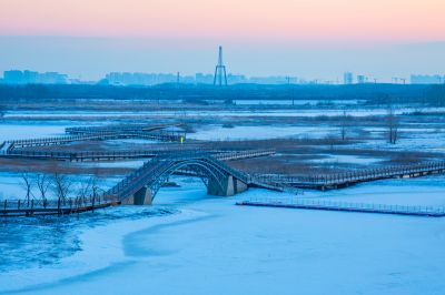 群力外滩湿地春雪1