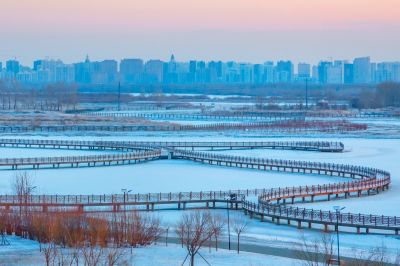 群力外滩湿地春雪1