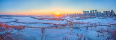 群力外滩湿地春雪1