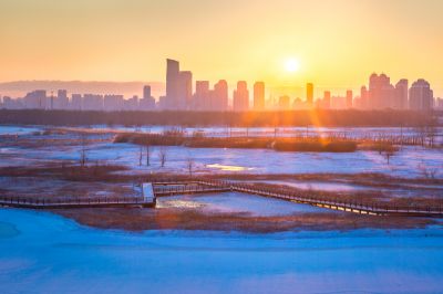 群力外滩湿地春雪1