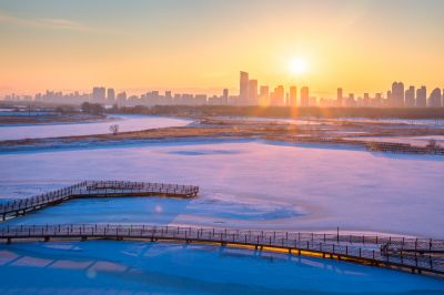 群力外滩湿地春雪1