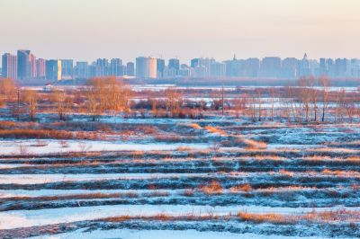 群力外滩湿地春雪1