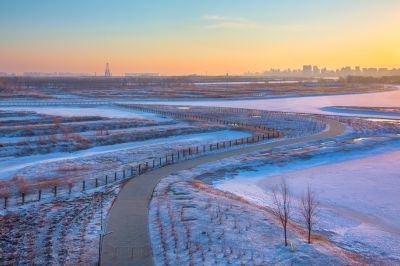 群力外滩湿地春雪1