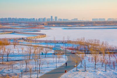 群力外滩湿地春雪1