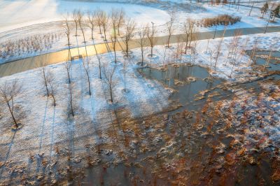 群力外滩湿地春雪1