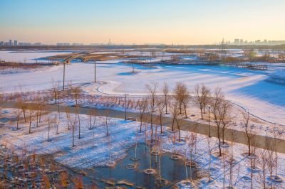 群力外滩湿地春雪1