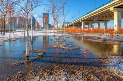 群力外滩湿地春雪2