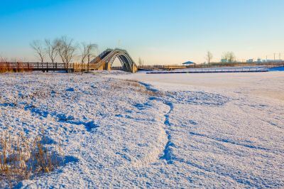 群力外滩湿地春雪2