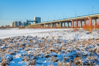 群力外滩湿地春雪2