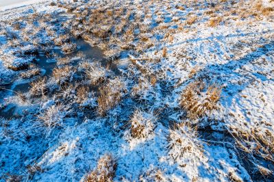 群力外滩湿地春雪2