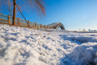群力外滩湿地春雪2