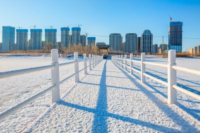 群力外滩湿地春雪2
