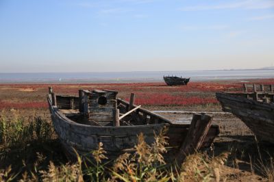 红海滩上的弃船