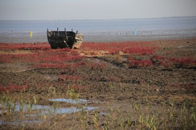 红海滩上的弃船