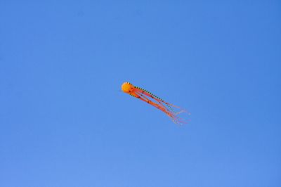 春风摇曳纸鸢飞