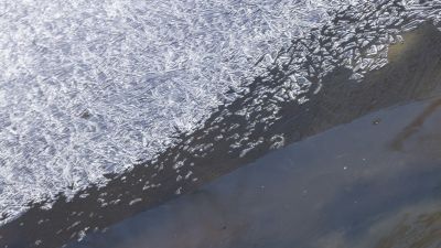 马家沟春意荡漾